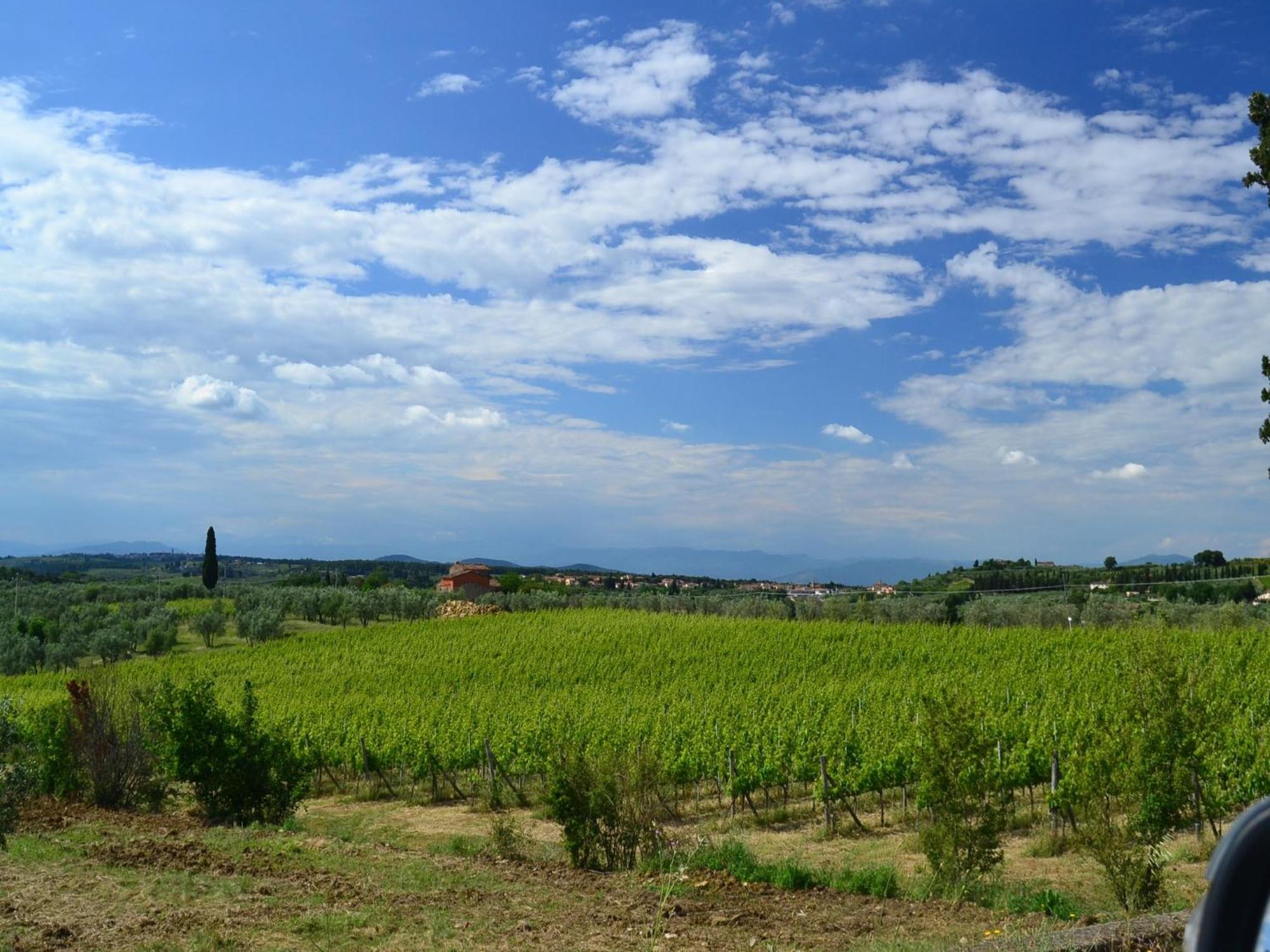 Lovely Holiday Home In Montefiridolfi With Hill View Εξωτερικό φωτογραφία