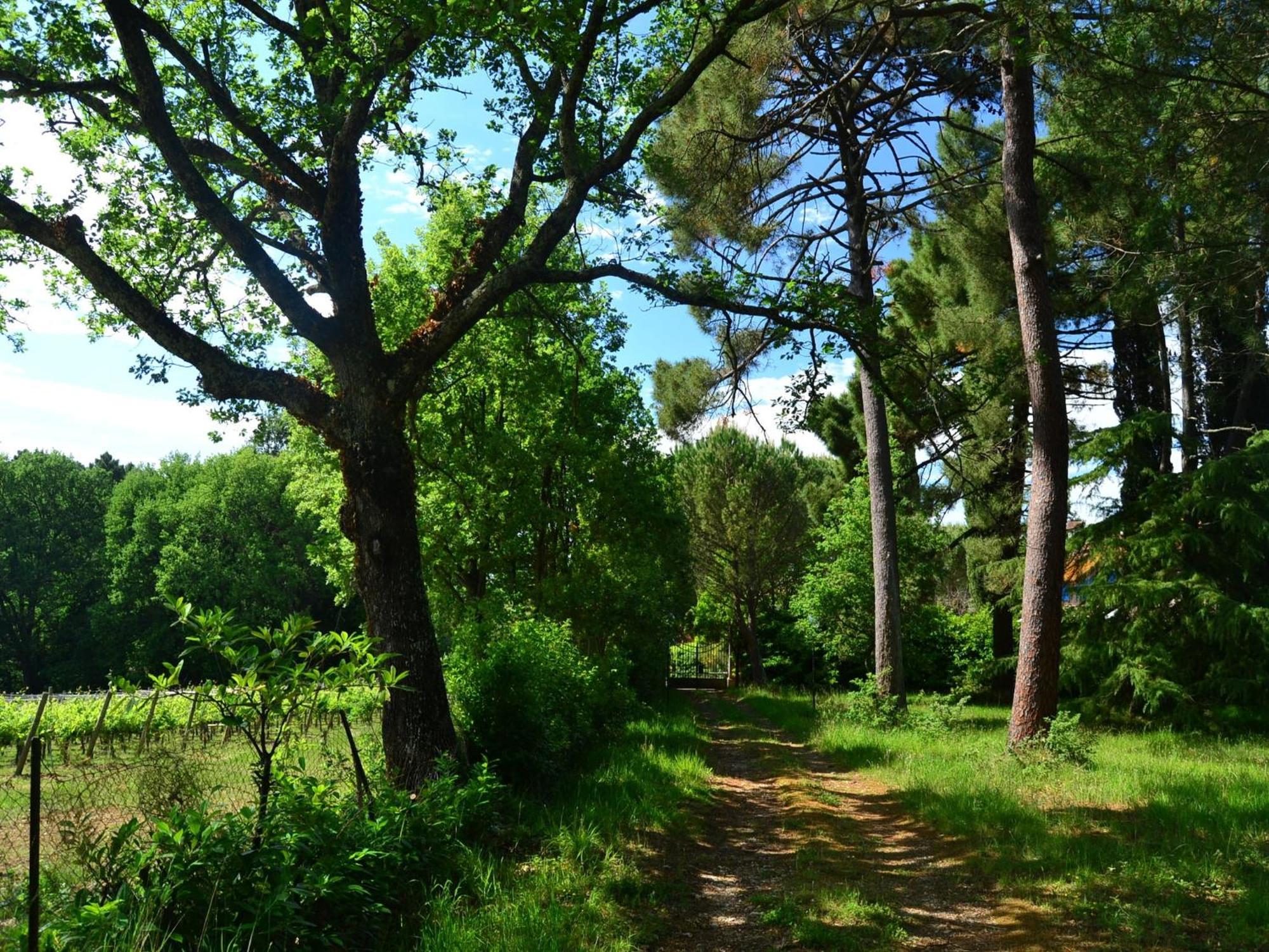 Lovely Holiday Home In Montefiridolfi With Hill View Εξωτερικό φωτογραφία