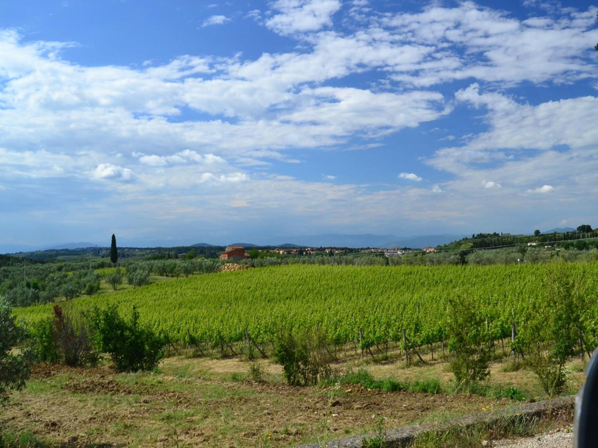 Lovely Holiday Home In Montefiridolfi With Hill View Εξωτερικό φωτογραφία