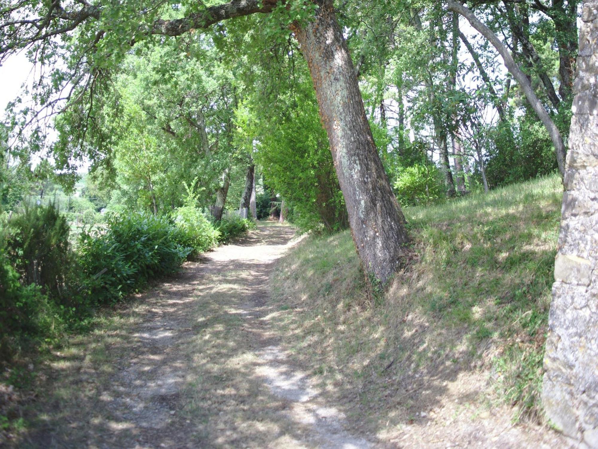 Lovely Holiday Home In Montefiridolfi With Hill View Εξωτερικό φωτογραφία