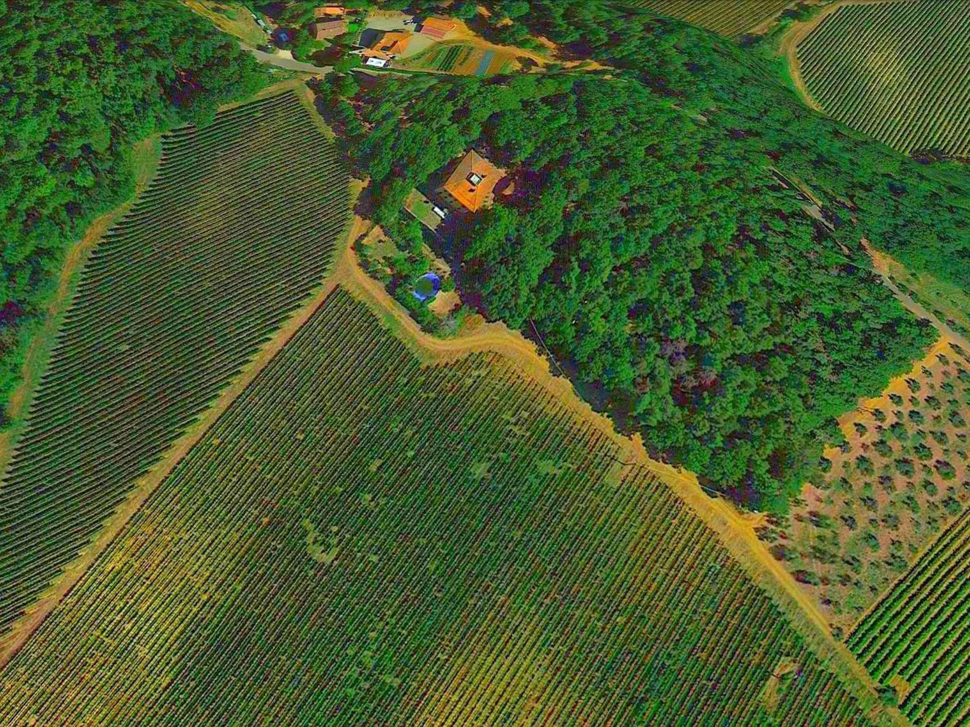Lovely Holiday Home In Montefiridolfi With Hill View Εξωτερικό φωτογραφία